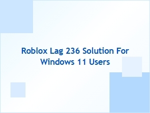 Fix Roblox Lag 236 on Windows 11
